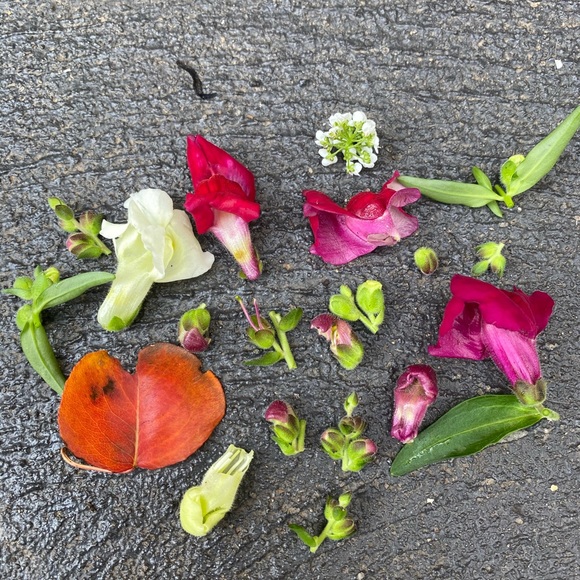 Meet your Posher, Bianca - Picture 1 of 1